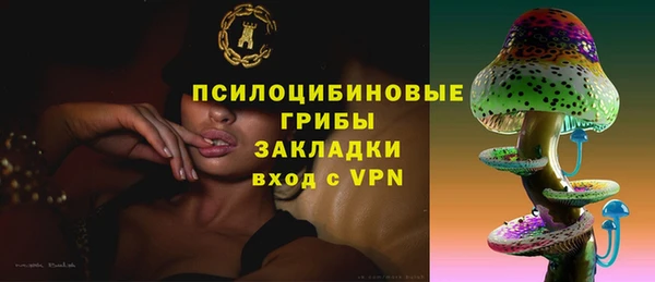 стаф Абдулино
