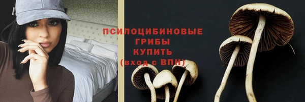 стаф Абдулино