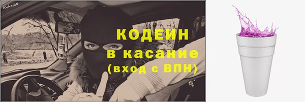 дурь Осташков
