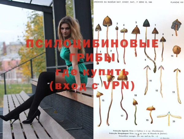 дурь Абаза