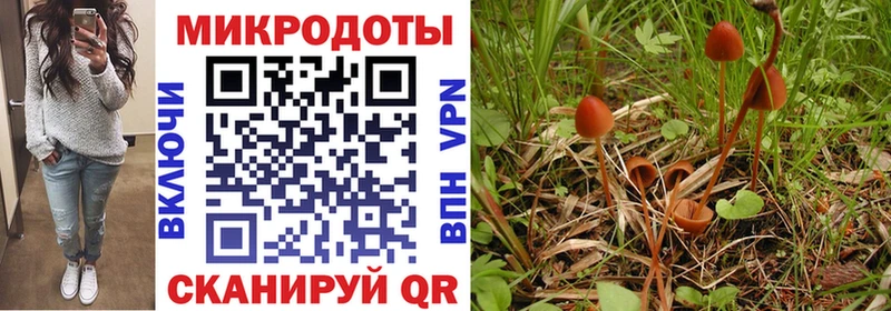 Галлюциногенные грибы GOLDEN TEACHER  Лакинск 